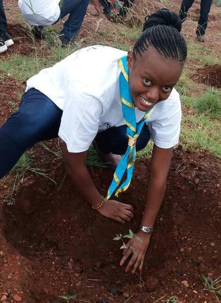 Environment & Ecosystem Protection